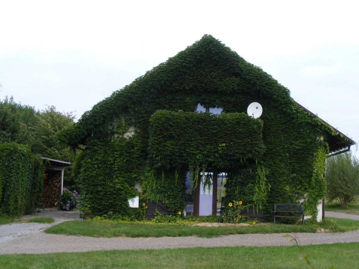 Dworek Lachowicze Grzegorzewice Exteriér fotografie