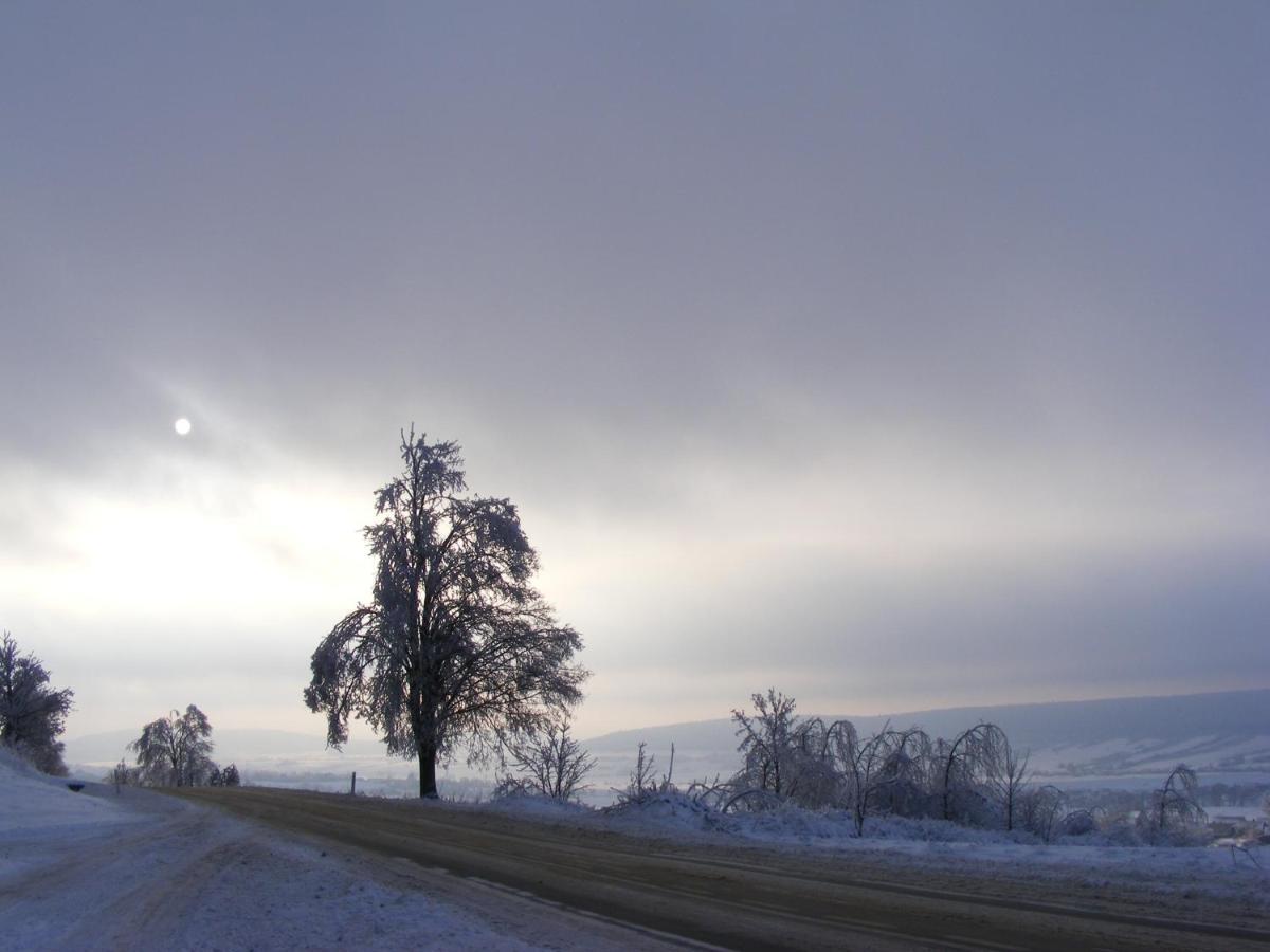 Dworek Lachowicze Grzegorzewice Exteriér fotografie